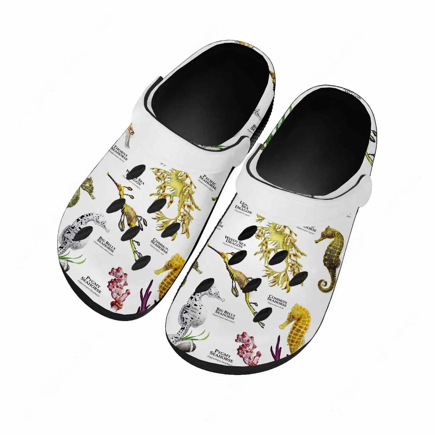 Seahorse Sandals Women Teenage - Men'S Shoes Quality review and price