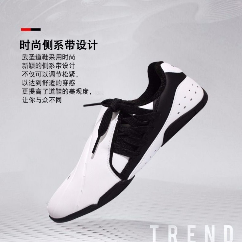 Professional Martial Arts Shoe - Men Shoes Vs Women review and price
